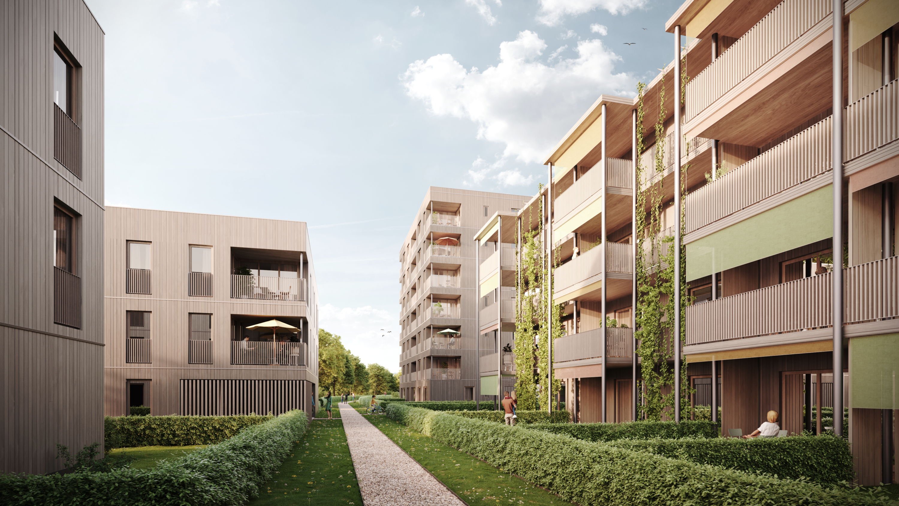Wohnbebauung_Wangen im Allgäu_Landesgartenschau_Architektur_Rendering_Herrmann-Bosch-Architekten
